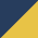 True Navy/Gold