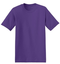 5170 - Hanes EcoSmart Short Sleeve Cotton/Poly Blend T-Shirt