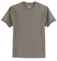 5250 - Hanes® Tagless® 100% Cotton T-Shirt.