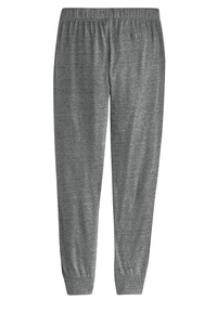 AA2822 - Alternative Eco Jersey Jogger