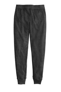 AA31082 - Alternative Jogger Eco Fleece Pant