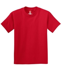 5450 - Hanes - Youth Tagless 100%  Cotton T-Shirt.  5450