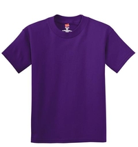 5450 - Hanes - Youth Tagless 100%  Cotton T-Shirt.  5450